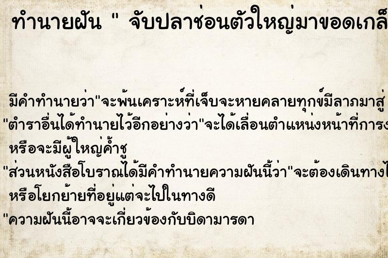 ทำนายฝันทำนายฝันจับปลาช่อนตัวใหญ่มาขอดเกล็ดแล้วหั่น